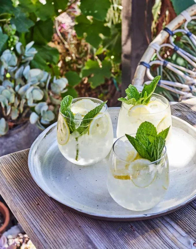 low sugar cocktails: a tray of white wine spritzers' title='20 Delicious Low-Sugar Cocktails That Aren’t Syrupy-Sweet
