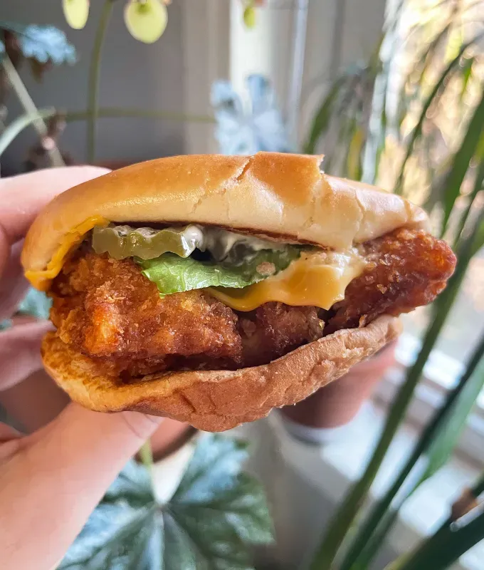 best fast food fish sandwiches: wendy’s' title='The Best Fast Food Fish Sandwiches Taste Tested & Ranked