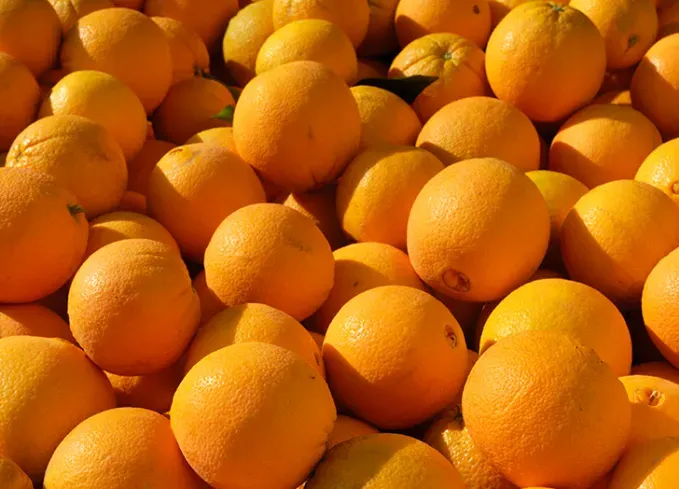 types of oranges navel oranges' fetchpriority='auto' title='10 Types of Oranges for Juicing Snacking and Everything in Between