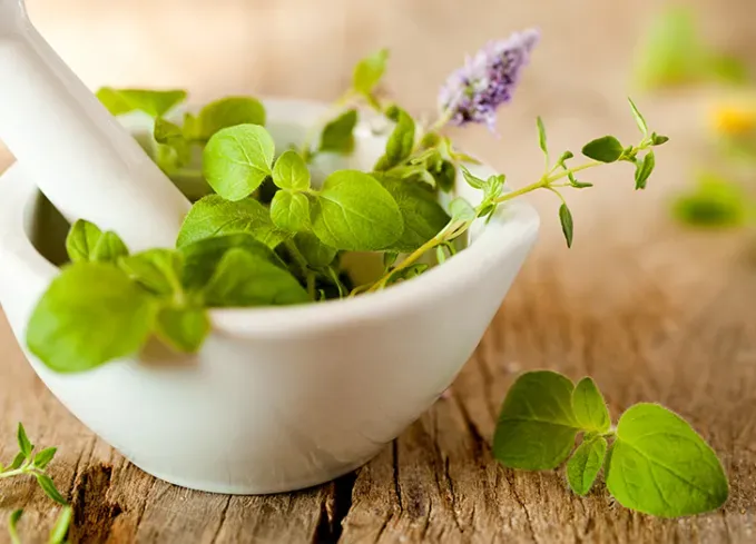 types of herbs marjoram' fetchpriority='auto' title='18 Different Types of Herbs (and How to Cook With Them Like a Pro)