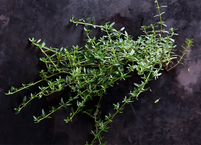 types of herbs savory' fetchpriority='auto' title='18 Different Types of Herbs (and How to Cook With Them Like a Pro)