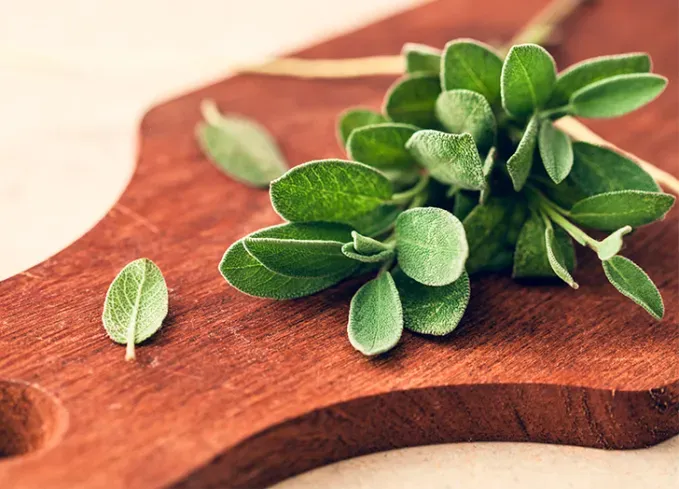 types of herbs sage' fetchpriority='auto' title='18 Different Types of Herbs (and How to Cook With Them Like a Pro)