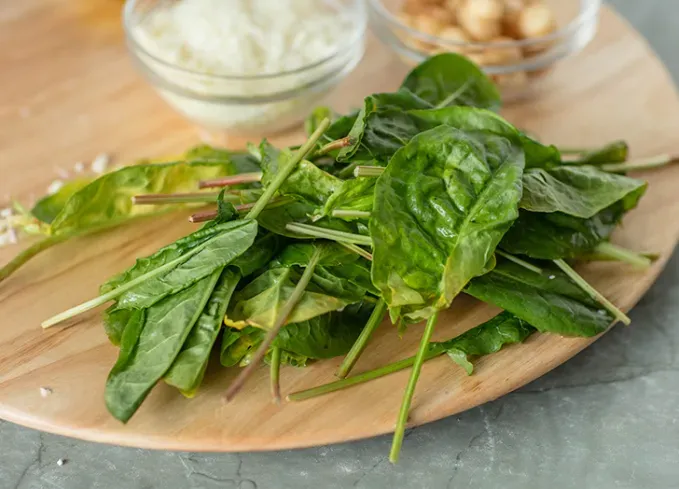 types of herbs sorrel' fetchpriority='auto' title='18 Different Types of Herbs (and How to Cook With Them Like a Pro)