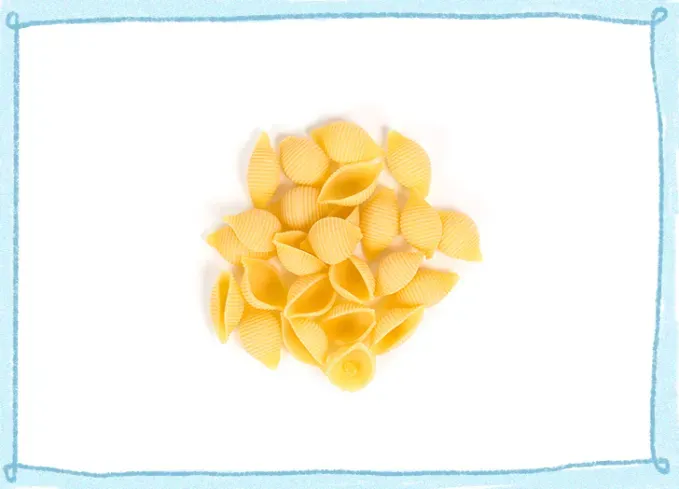 types of noodles: conchiglie' fetchpriority='auto' title='12 Types of Noodles You Should Have in Your Pantry (Plus What to Make with Them)