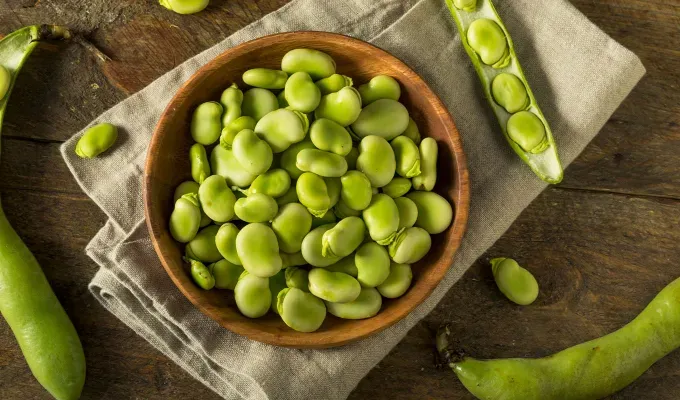 Fava Beans Top Healthiest Beans' fetchpriority='auto' title='The 10 Healthiest Beans You Can Eat According to a Dietician