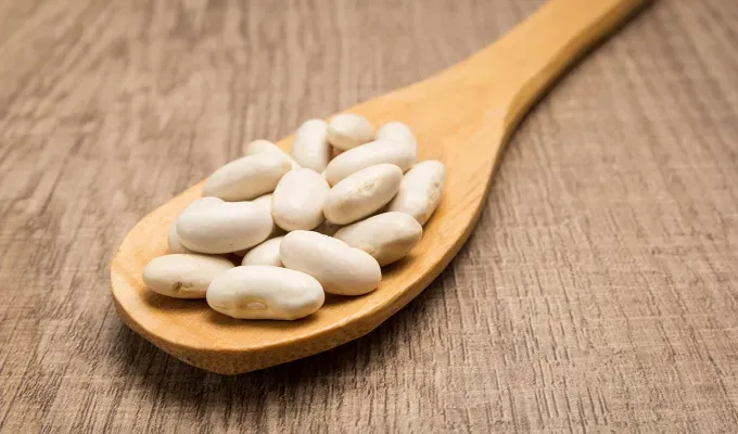 Navy Beans Top Healthiest Beans' fetchpriority='auto' title='The 10 Healthiest Beans You Can Eat According to a Dietician