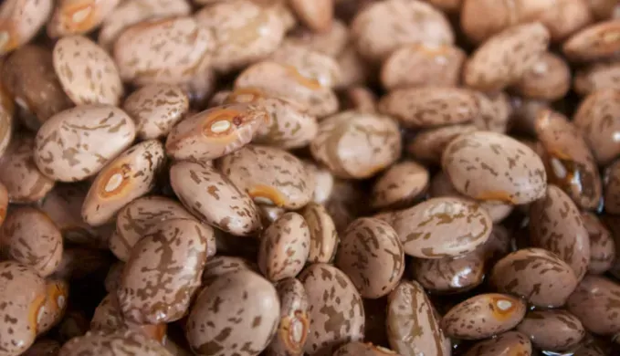 beans list' fetchpriority='auto' title='17 Foods That (Almost) Never Expire from Dry Beans to Honey