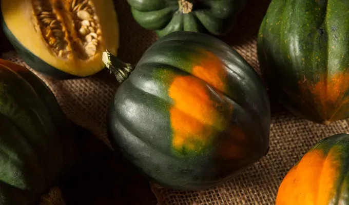 what are the cheapest vegetables?: acorn squash' fetchpriority='auto' title='What Are the Cheapest Vegetables? 11 Produce Options That Are the Best Bang for Your Buck