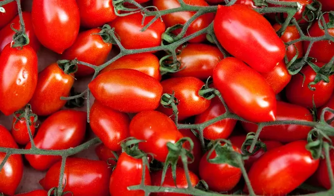 what are the cheapest vegetables?: roma or plum tomatoes' fetchpriority='auto' title='What Are the Cheapest Vegetables? 11 Produce Options That Are the Best Bang for Your Buck