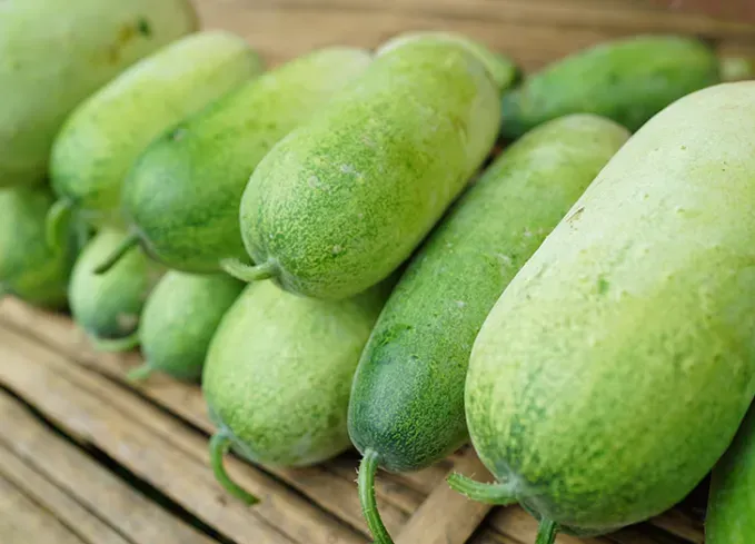 types of melons: winter melon' fetchpriority='auto' title='24 Types of Melons to Load Up on While They’re in Season