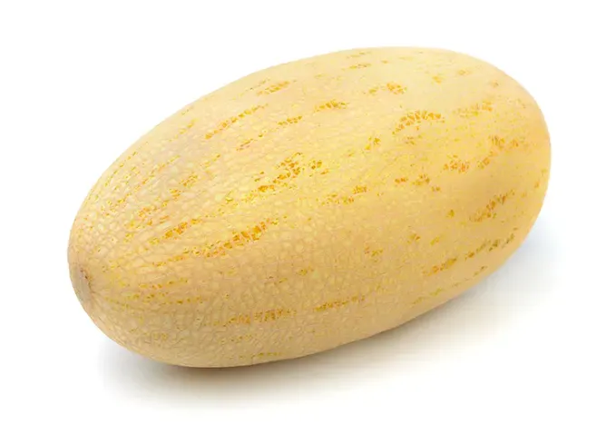 types of melons: persian melon' fetchpriority='auto' title='24 Types of Melons to Load Up on While They’re in Season