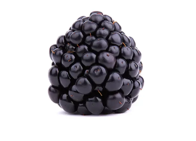 types of berries: dew berry' fetchpriority='auto' title='30 Different Types of Berries (and Why You Should Be Eating Each and Every One of Them)