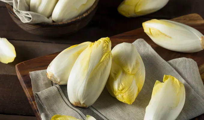 different types of lettuce: endive' fetchpriority='auto' title='14 Different Types of Lettuce Plus How to Serve Them All