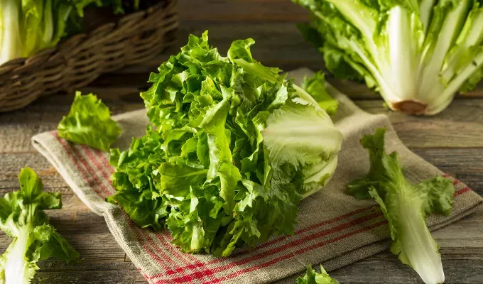 different types of lettuce: escarole' fetchpriority='auto' title='14 Different Types of Lettuce Plus How to Serve Them All