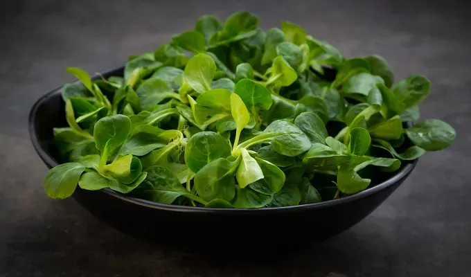 different types of lettuce: mâche' fetchpriority='auto' title='14 Different Types of Lettuce Plus How to Serve Them All