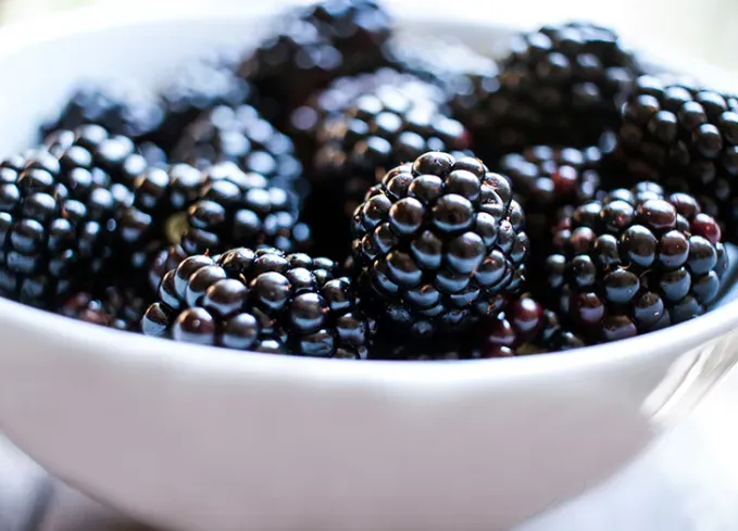 high protein fruits: blackberries' fetchpriority='auto' title='12 High-Protein Fruits to Add to Your Diet According to a Nutritionist