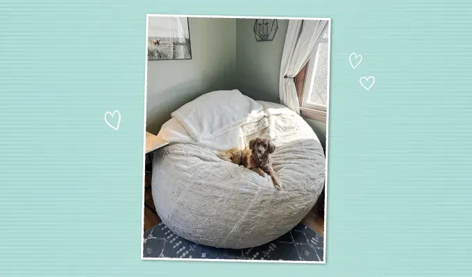 lovesac supersac review' title='I Tried A Lovesac Bean Bag and It Feels Like You’re Sitting on a Cloud