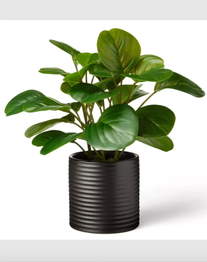 cubicle decor plant' fetchpriority='auto' title='Back to the Office? This Fun Cubicle Decor Can Smooth the Transition
