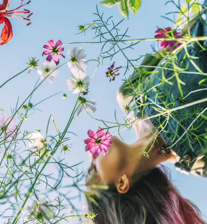 A káoszkertészet egy típusú ember számára működik (tipp: te vagy te, te vagy az ember)
