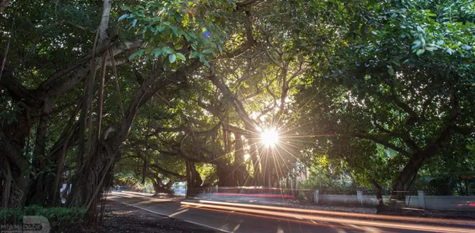 old cutler road miami beautiful streets wide' fetchpriority='auto' title='The Most Beautiful Streets in Miami