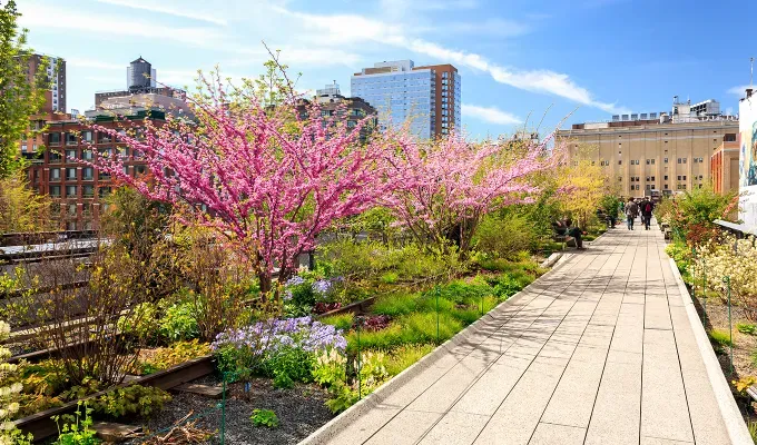 things-to-do-on-a-sunday-in-nyc: the new york high line.' fetchpriority='auto' title='18 Things to Do on a Sunday in NYC That Are Anything But Boring