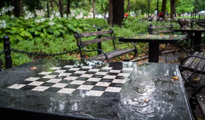 things to do on a sunday in nyc washington square park' fetchpriority='auto' title='18 Things to Do on a Sunday in NYC That Are Anything But Boring