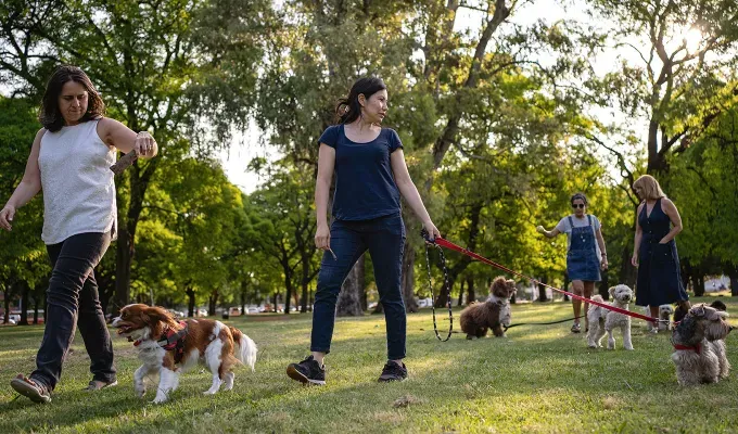 how to make friends in nyc women and their dogs at a park' fetchpriority='auto' title='How to Make Friends in NYC According to New Yorkers