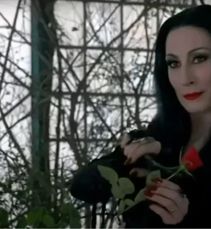morticia-addams-feminist-icon-anjelica-huston' fetchpriority='high' title='Why Morticia Addams Is a Feminist Icon: Her Healthy Attitude Toward Sex Marriage and Motherhood