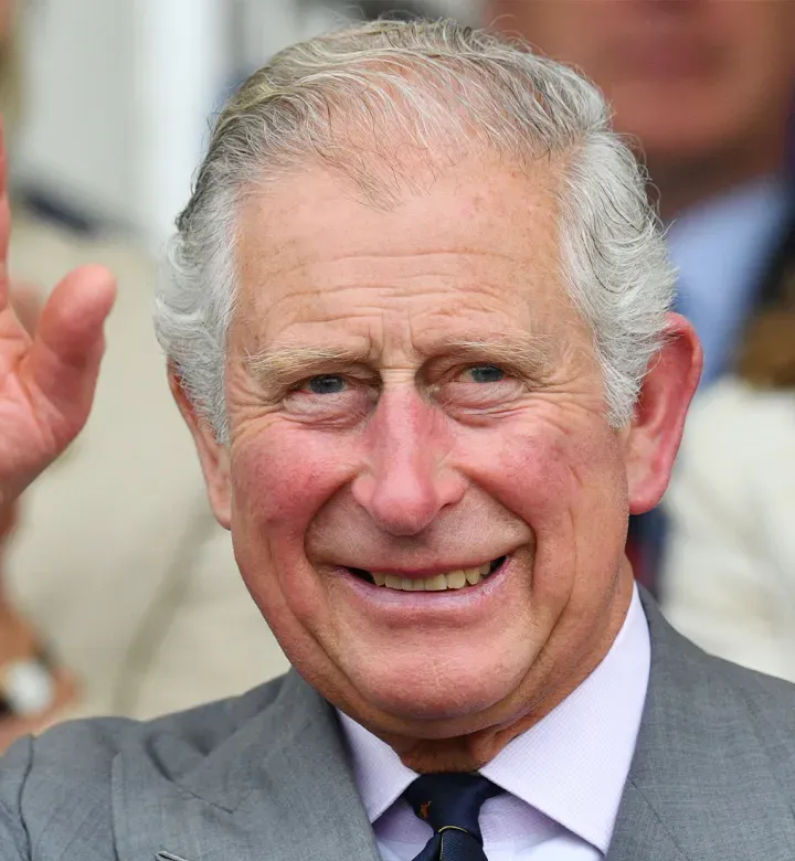 Камерата улавя преследваща снимка на крал Чарлз, вперилчащ в далечината