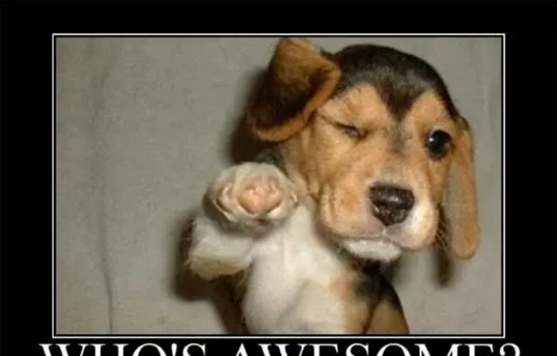 Diese 39 motivierenden Memes helfen Ihnen beim Carpe Diem!