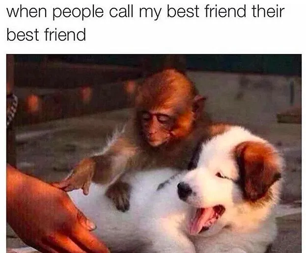 49 Freundschaftsmemes, die Sie mit Ihren BFFs teilen können