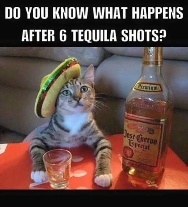 30 urkomische Tequila-Memes, die Ihnen helfen, den Nationalen Tequila-Tag richtig zu feiern