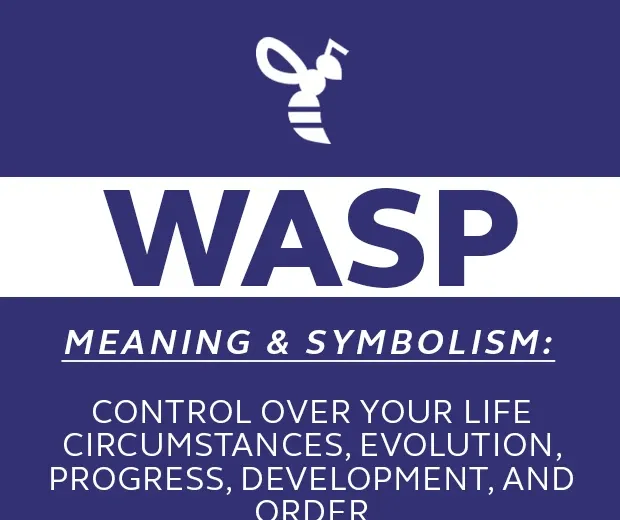 Ampiaisen henkinen merkitys ja symboliikka