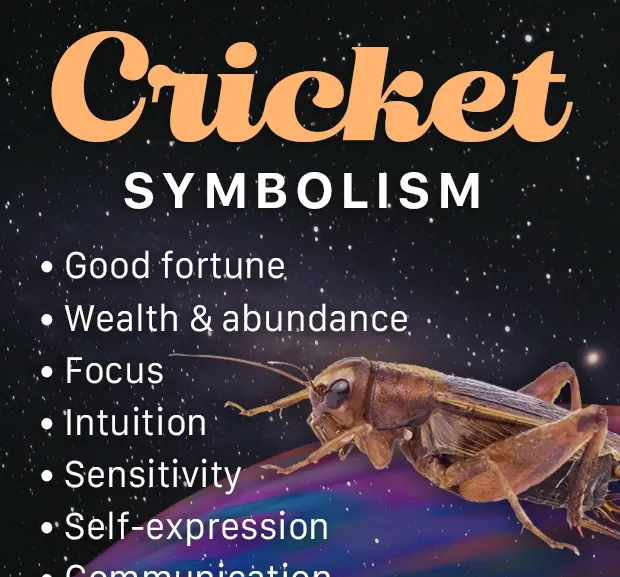 Kriketin symboliikka