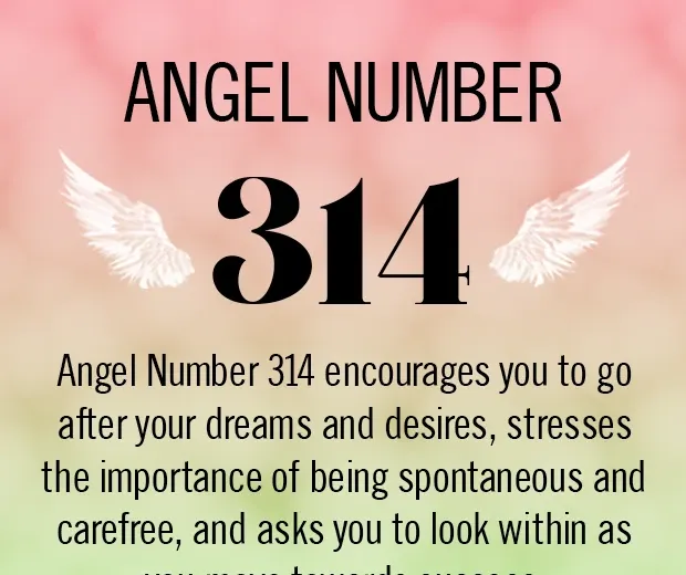 Enkelin numero 314 Merkitys