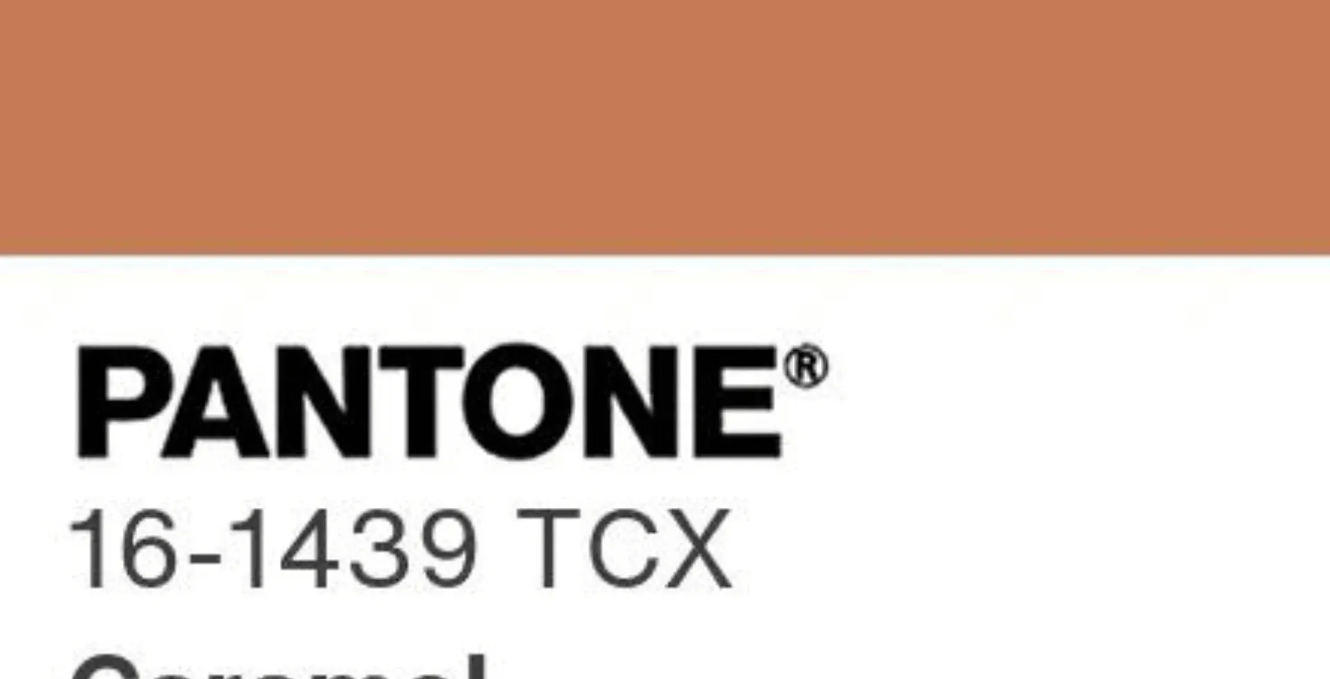 Jeder Geburtsmonat hat eine andere Farbe und Bedeutung – hier ist Ihre