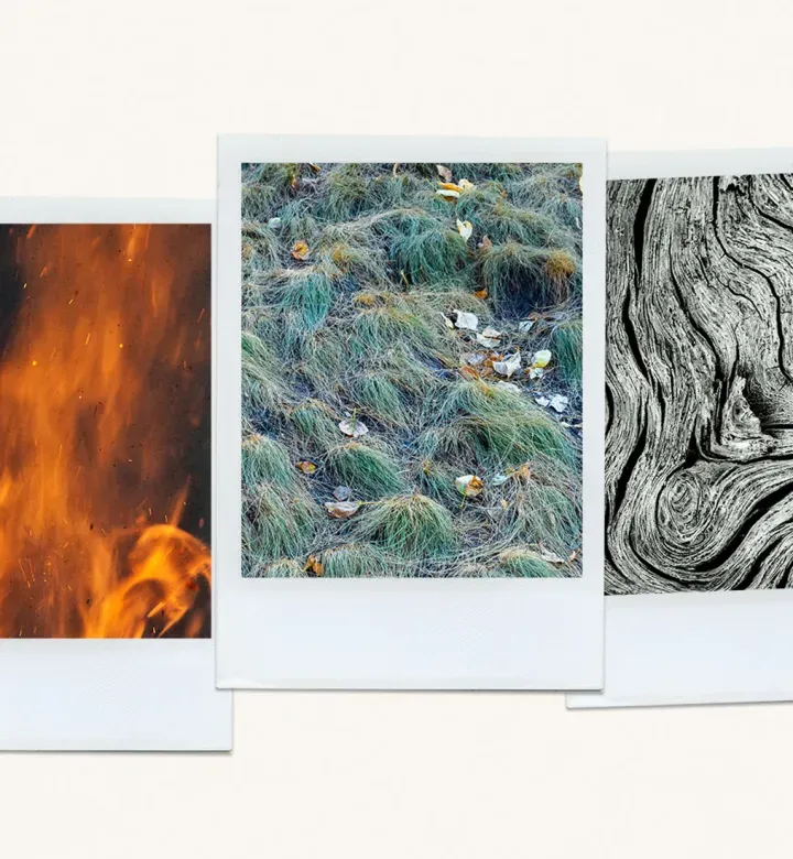 Chinesische Tierkreiselemente: Wie Sie wissen, was Ihre ist und was es bedeutet