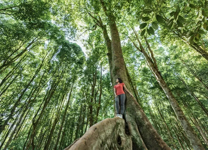 calming pictures 6' fetchpriority='auto' title='13 Calming Pictures That Will Make You Feel Better About the World Right Now