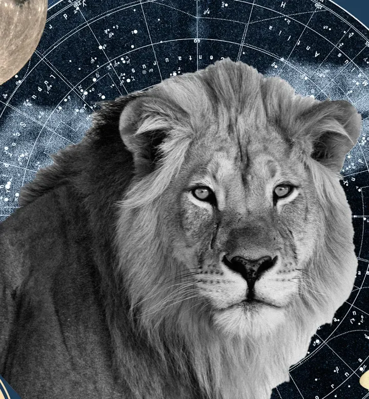 Fühlen Sie sich aus? Laut einem Astrologen könnte es das Gate -Portal des Löwens sein