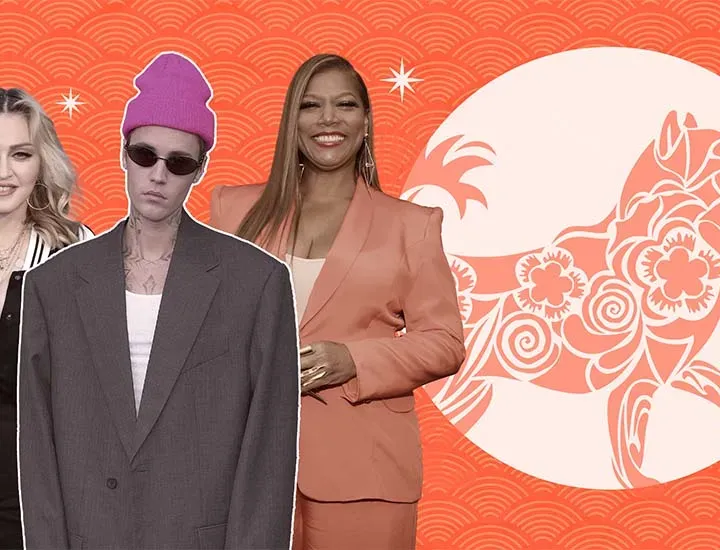 Verwenden Sie den chinesischen Tierkreis: Finden Sie die besten Übereinstimmungen für das Leben und die Liebe zum Hundezeichen heraus