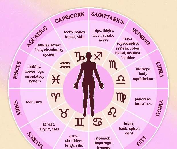 Der Körperteil, den jedes Sternzeichen beherrscht, laut Astrologie